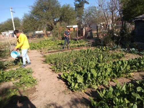 Realizarán una muestra pedagógica del Taller de Huerta en Clodomira